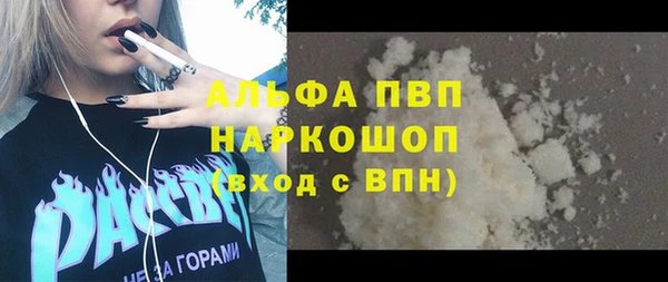 ПСИЛОЦИБИНОВЫЕ ГРИБЫ Магас