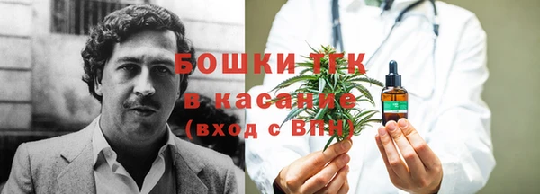 ПСИЛОЦИБИНОВЫЕ ГРИБЫ Магас