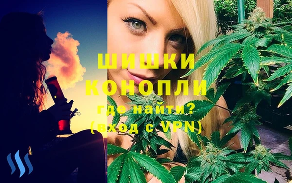 ПСИЛОЦИБИНОВЫЕ ГРИБЫ Магас
