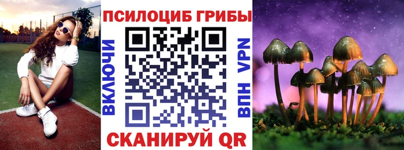 Псилоцибиновые грибы Psilocybe  мега ссылка  Называевск 